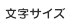 文字サイズ
